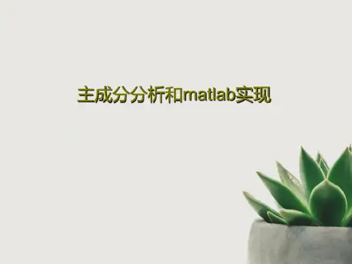 主成分分析和matlab实现PPT33页