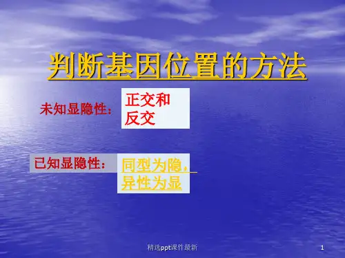 判断基因的位置的方法PPT课件
