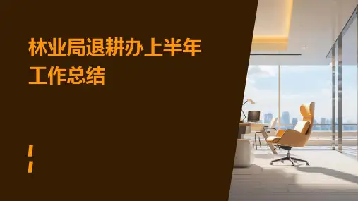 林业局退耕办上半年工作总结PPT