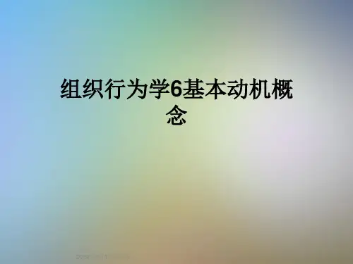 组织行为学6基本动机概念