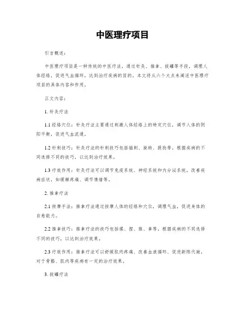 中医理疗项目