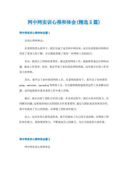 网中网实训心得和体会(精选5篇)