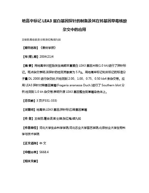 地高辛标记LEA3蛋白基因探针的制备及其在转基因草莓核酸杂交中的应用