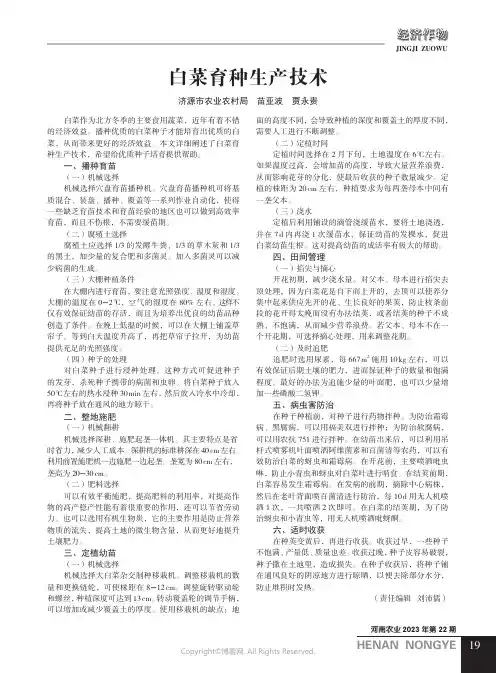 白菜育种生产技术