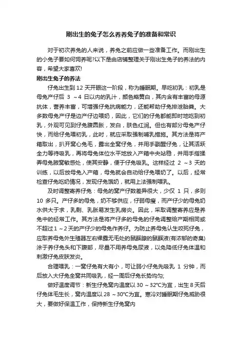刚出生的兔子怎么养养兔子的准备和常识