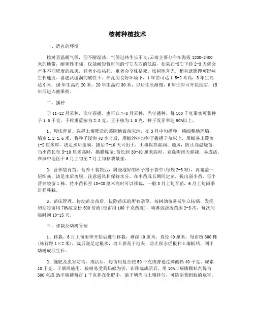桉树种植技术