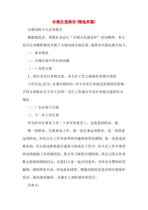 合规自查报告(精选多篇)