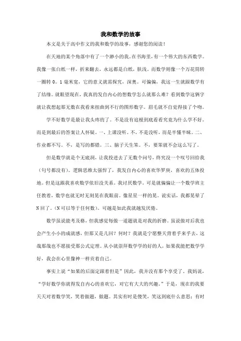 我和数学的故事_高中作文