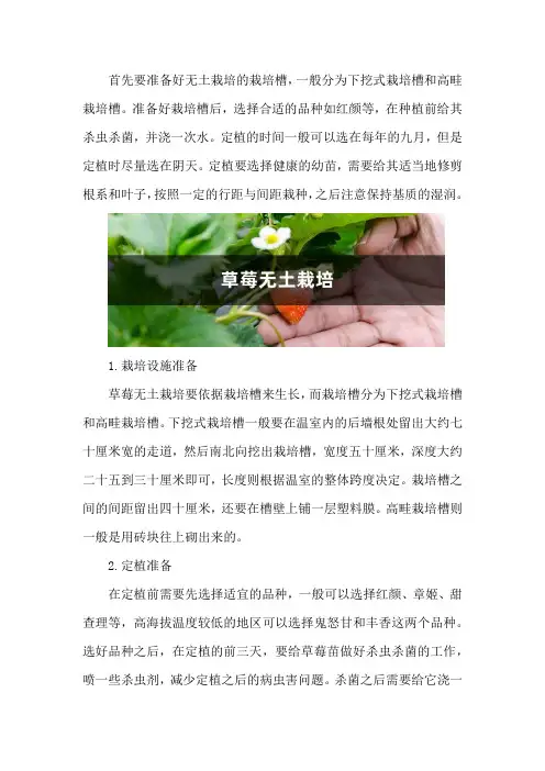 草莓无土栽培方法