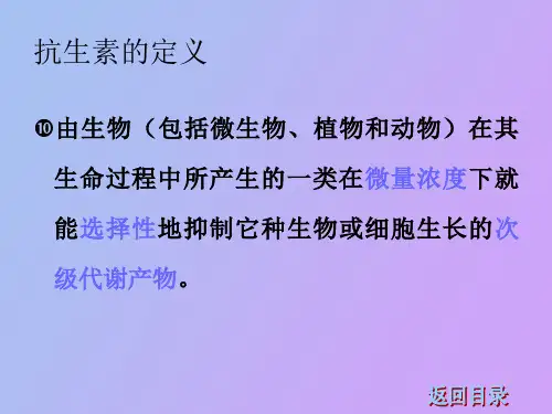 生产实例抗生素