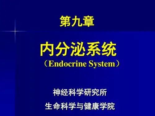 内分泌系统