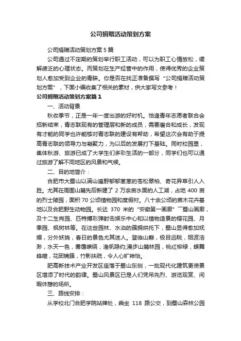 公司捐赠活动策划方案