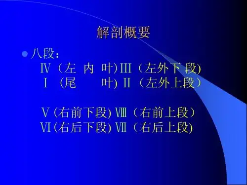 肝胆超声