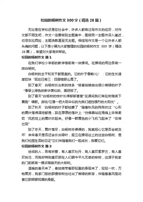 校园的杨树作文300字（精选28篇）