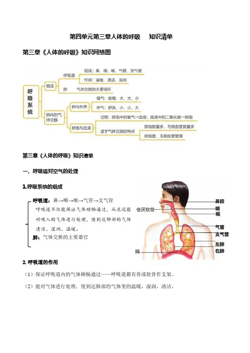 第3章 人体的呼吸(知识清单)-2023-2024学年七年级生物下册同步备课系列(人教版