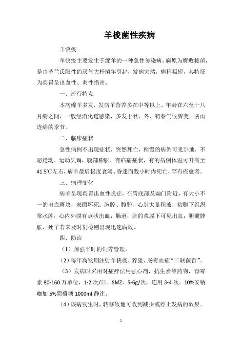 羊梭菌性疾病