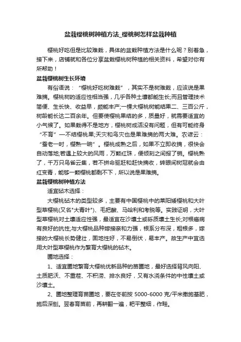 盆栽樱桃树种植方法_樱桃树怎样盆栽种植