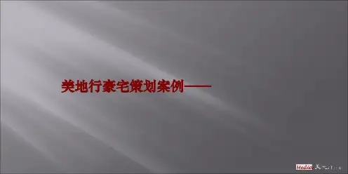 美地行豪宅营销报告――汤臣一品精品PPT课件