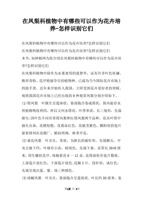 在凤梨科植物中有哪些可以作为花卉培养怎样识别它们