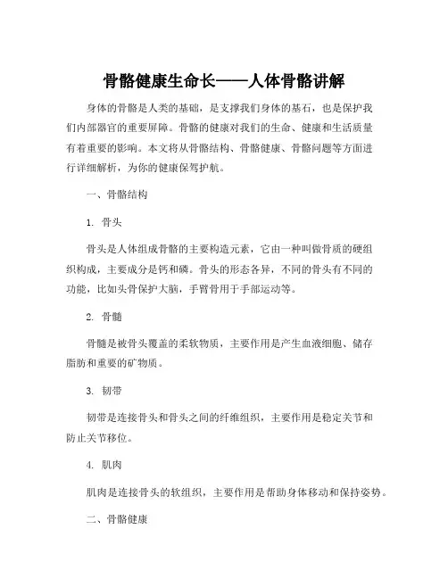 人体骨骼讲解