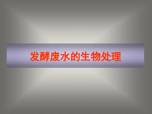 发酵废水的生物处理法ppt课件