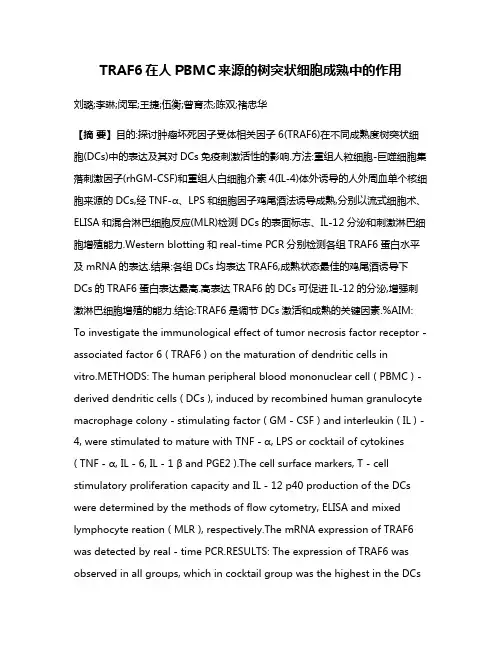 TRAF6在人PBMC来源的树突状细胞成熟中的作用