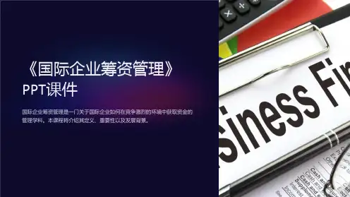 《国际企业筹资管理》课件