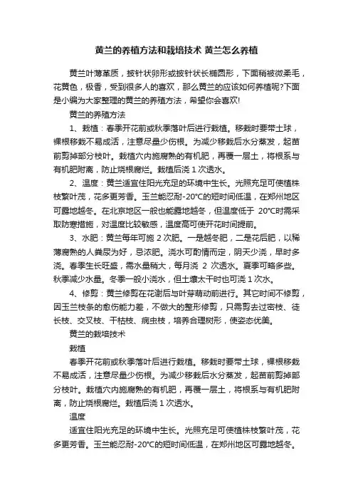 黄兰的养植方法和栽培技术黄兰怎么养植