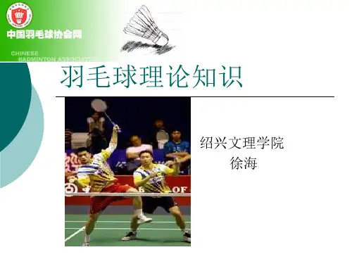羽毛球理论知识-PPT课件