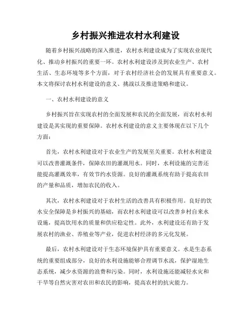 乡村振兴推进农村水利建设