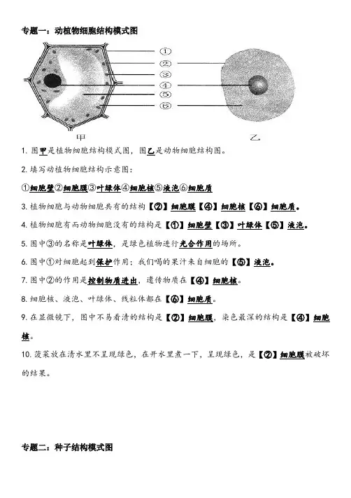 人教版初中生物中考复习：生物专题复习资料——识图作答专项