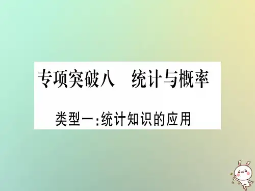 中考数学精选准点备考复习第二轮中档题突破专项突破8统计与概率课件新人教版0918139