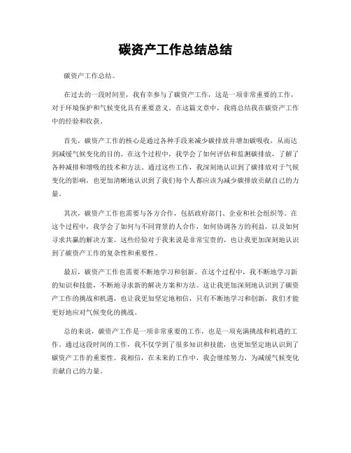碳资产工作总结总结