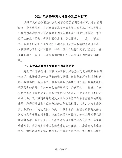 2024年综治培训心得体会及工作打算(2篇)