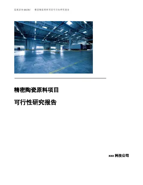 精密陶瓷原料项目可行性研究报告