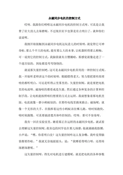 永磁同步电机的控制方式