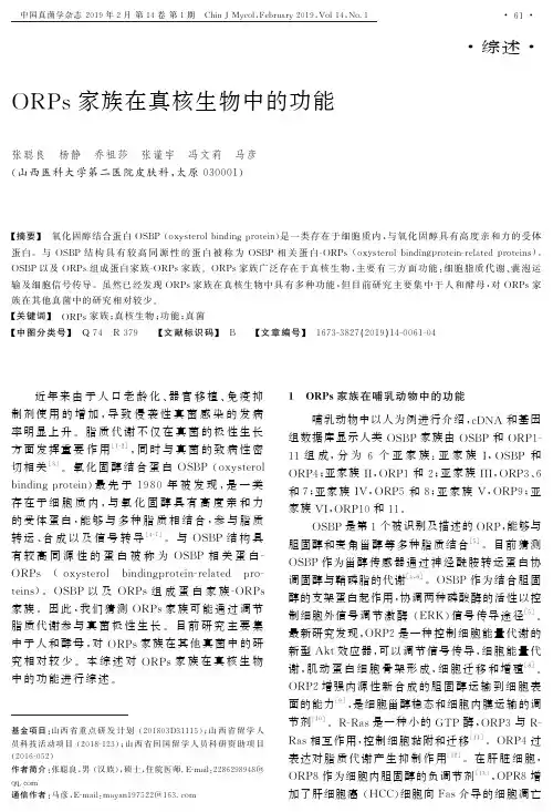 ORPs家族在真核生物中的功能