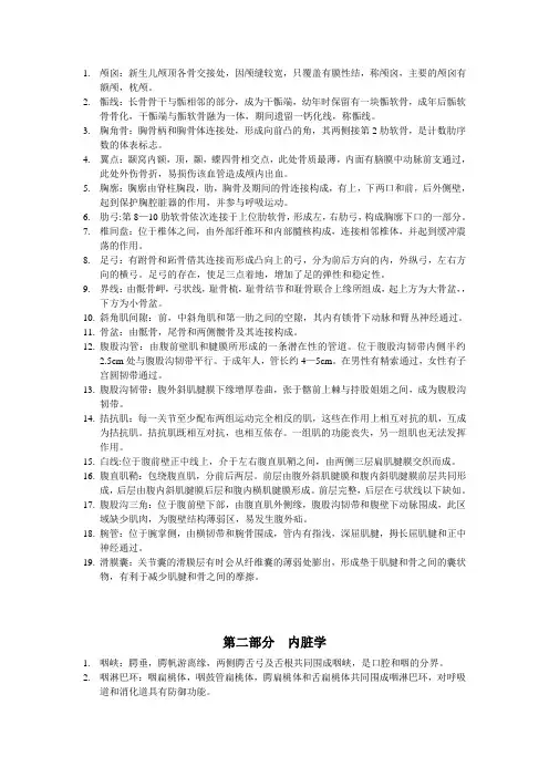解剖名词解释