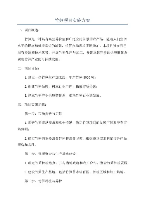 竹笋项目实施方案