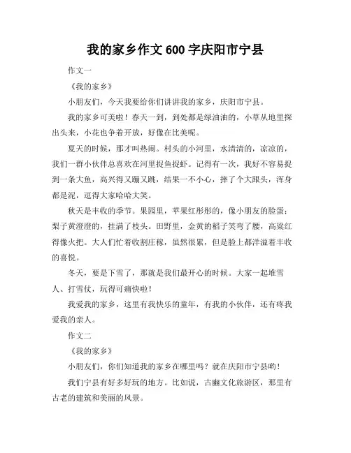 我的家乡作文600字庆阳市宁县