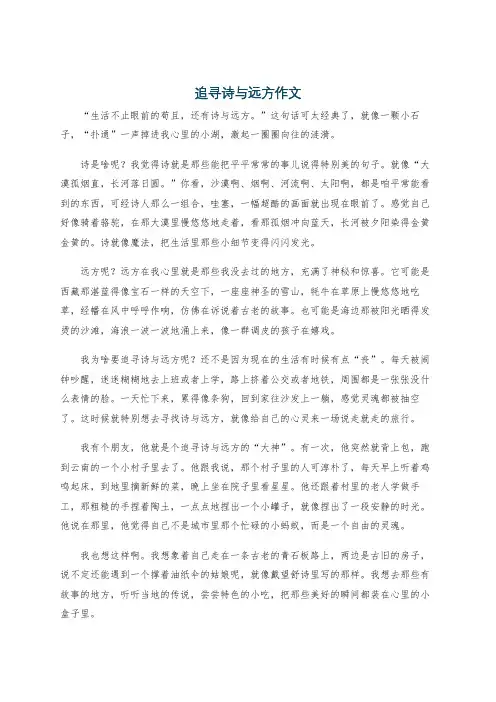 追寻诗与远方作文