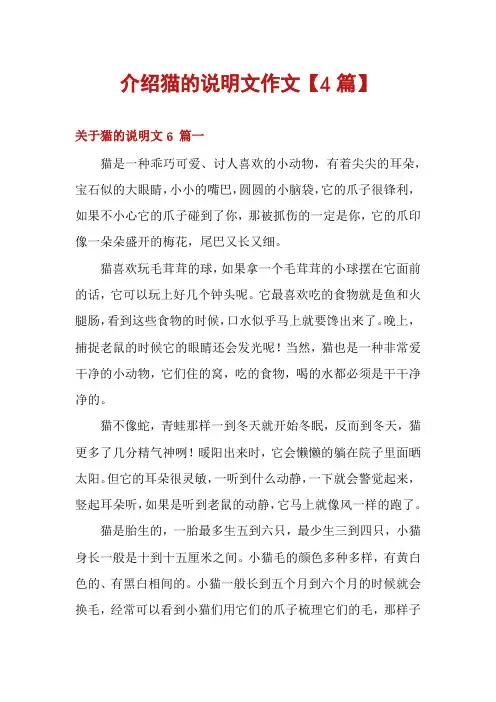 介绍猫的说明文作文【4篇】