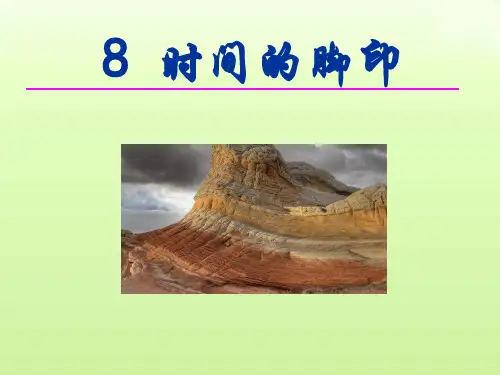 第8课《时间的脚印》课件