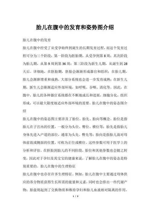 胎儿在腹中的发育和姿势图介绍