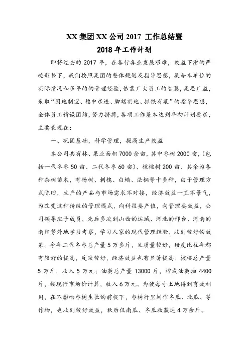 XX集团XX公司2017 工作总结暨