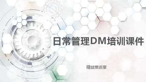 精益日常管理DM