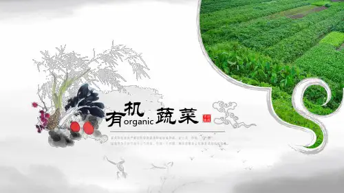 有机蔬菜 绿色农业生产种植 适用于农产品推荐 新品上市 农业项目展示 商业计划书PPT模板