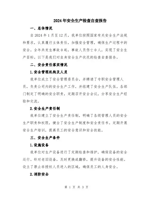 2024年安全生产检查自查报告