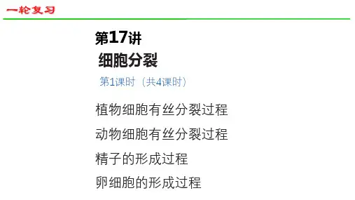 2025届高三生物一轮深度复习课件30：细胞分裂(第1课时)(共35张PPT)