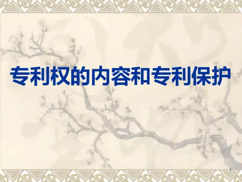 专利权的内容和专利保护讲课PPT课件